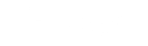 Premier Partner