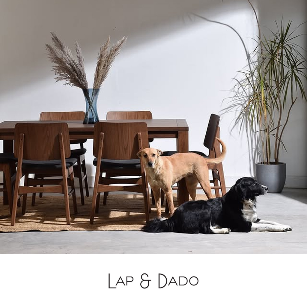 Lap&Dado-2